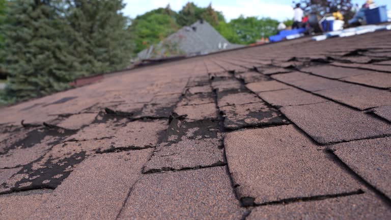 Best Emergency Roof Repair Services  in Sidney, MT